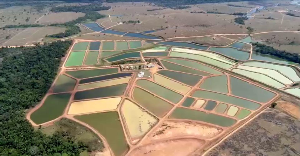 Produção de peixes é abundante em Rondônia, mas emperra na comercialização  - Engepesca - Redes para Aquicultura